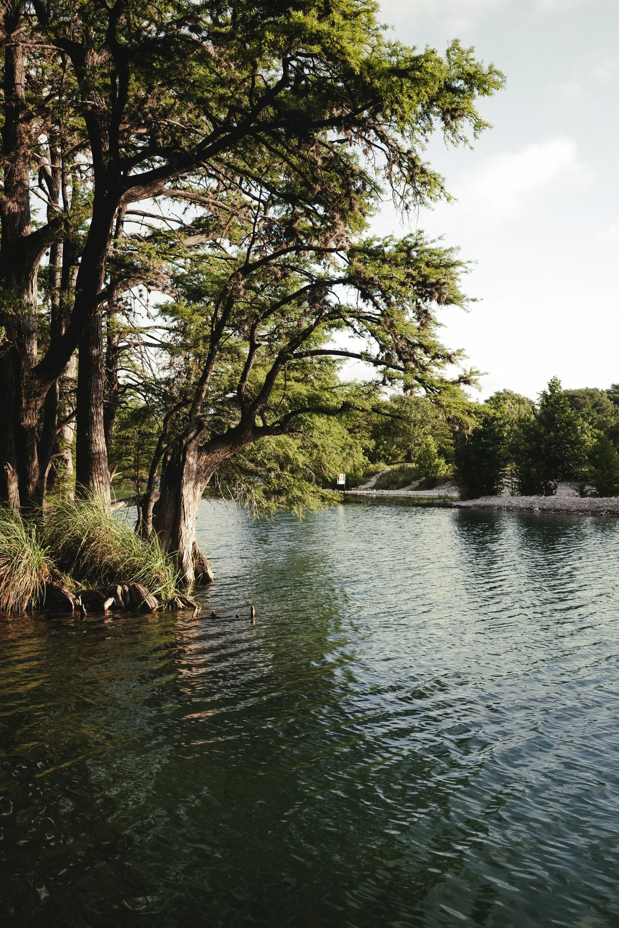 Dripping IV Solutions clinic in the Texas Hill Country