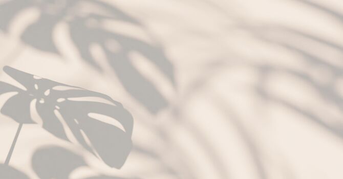 IV Therapy - Packages