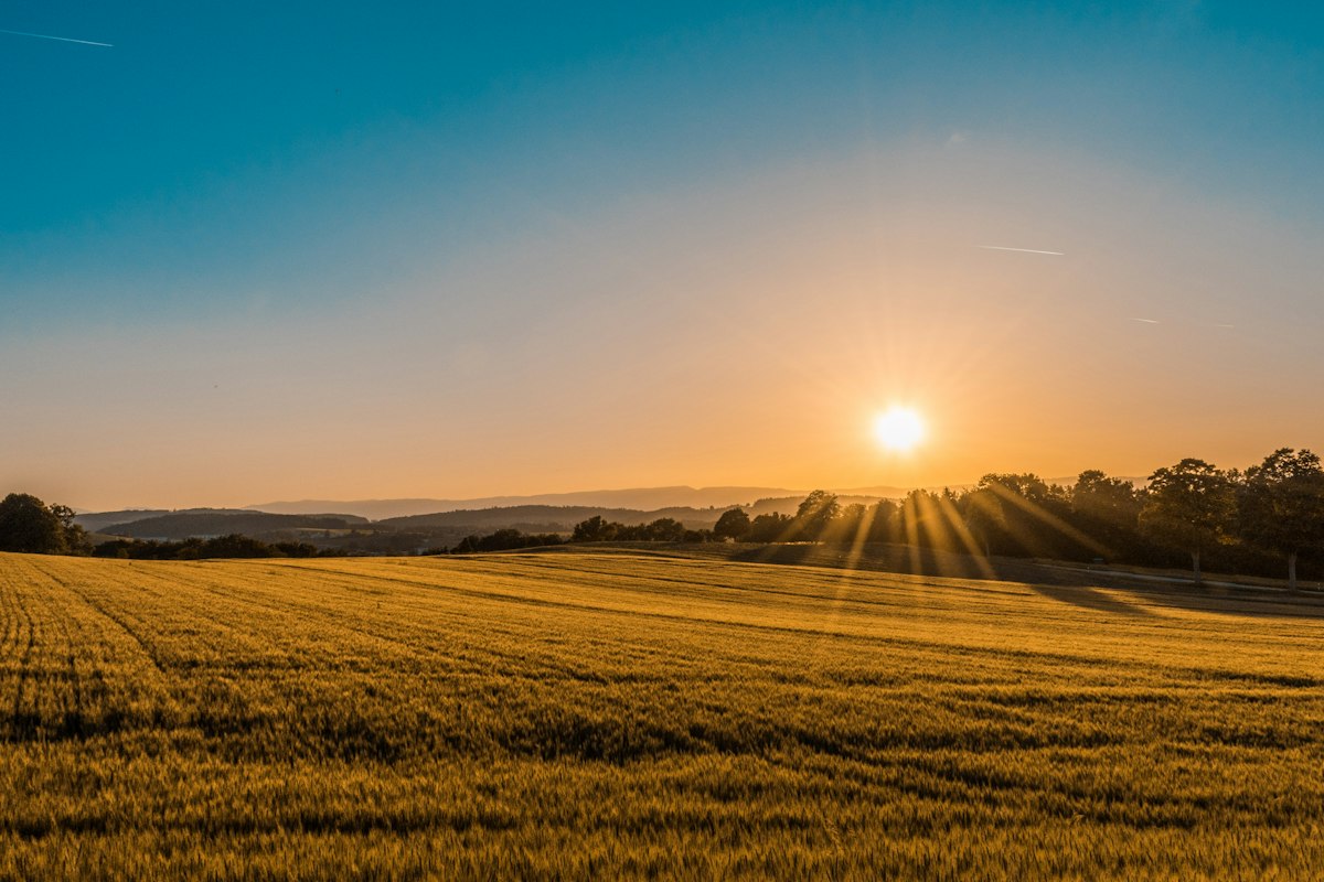 Golden sunset over the Texas Hill Country